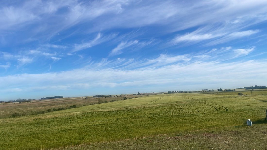 Farm Ranch in Artilleros, Colonia Department, Uruguay 1 - 18207979