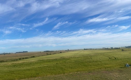 Farm Ranch in Artilleros, Colonia Department, Uruguay 1