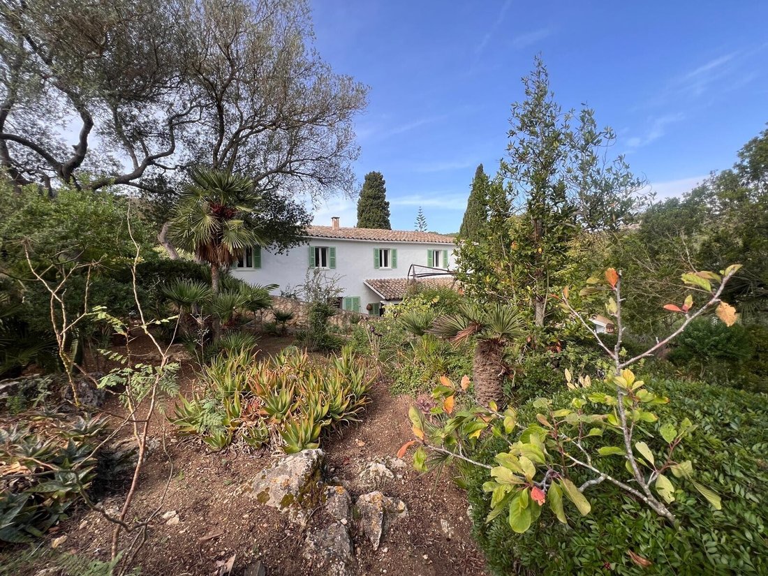 Country House in s'Arraco, Andratx, Balearic Islands 1 - 18208744