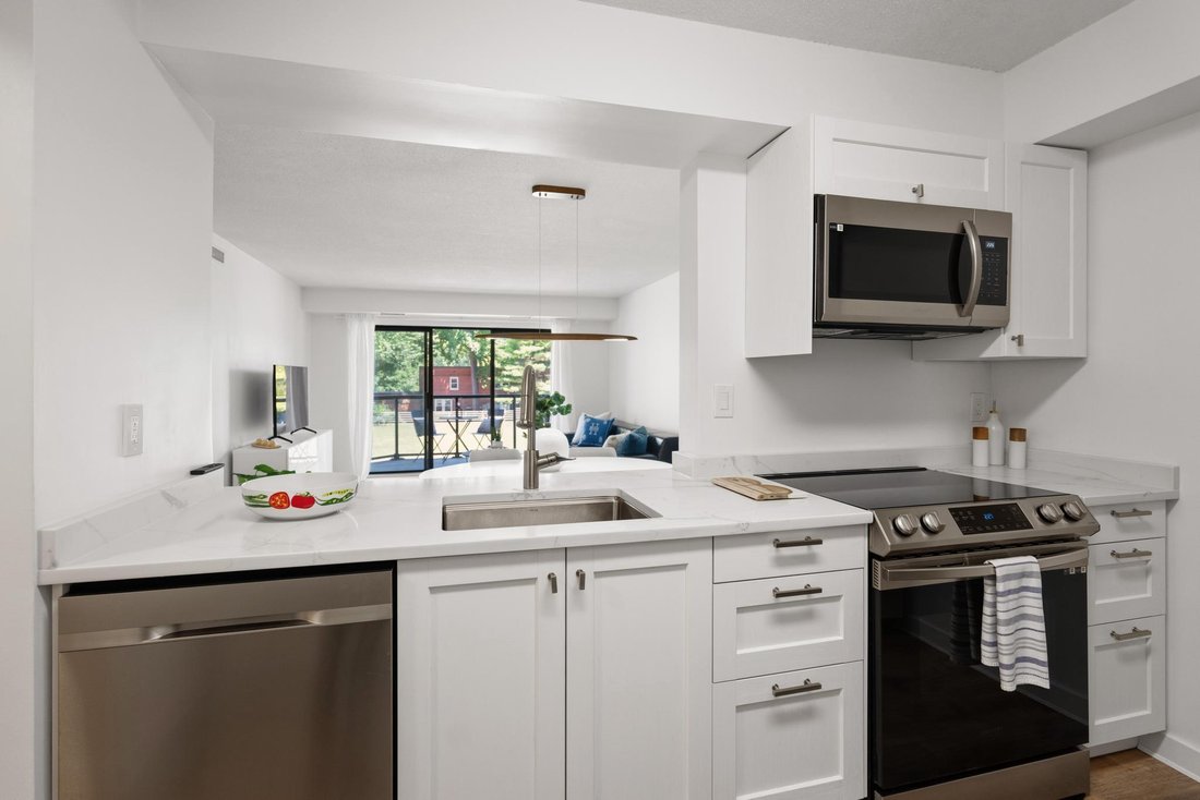 Condo in Arlington, Virginia, United States 5 - 18208620