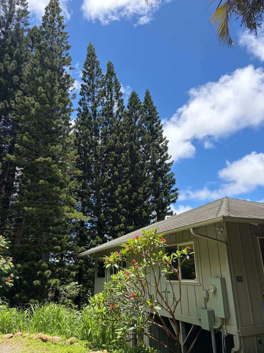 House in Haiku-Pauwela, Hawaii, United States 4 - 18207238