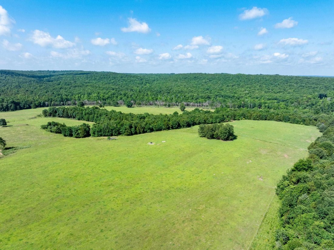 House in Bradford, Arkansas, United States 4 - 18207188