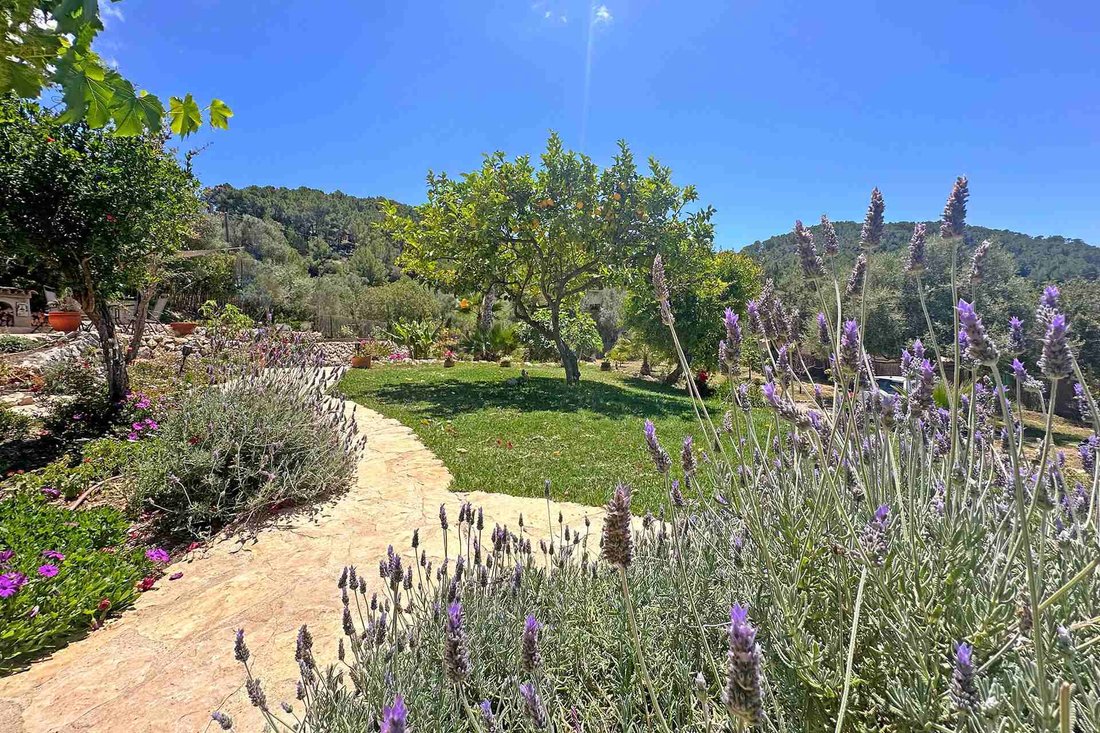 Finca in s'Arraco, Andratx, Balearic Islands 3 - 18207539