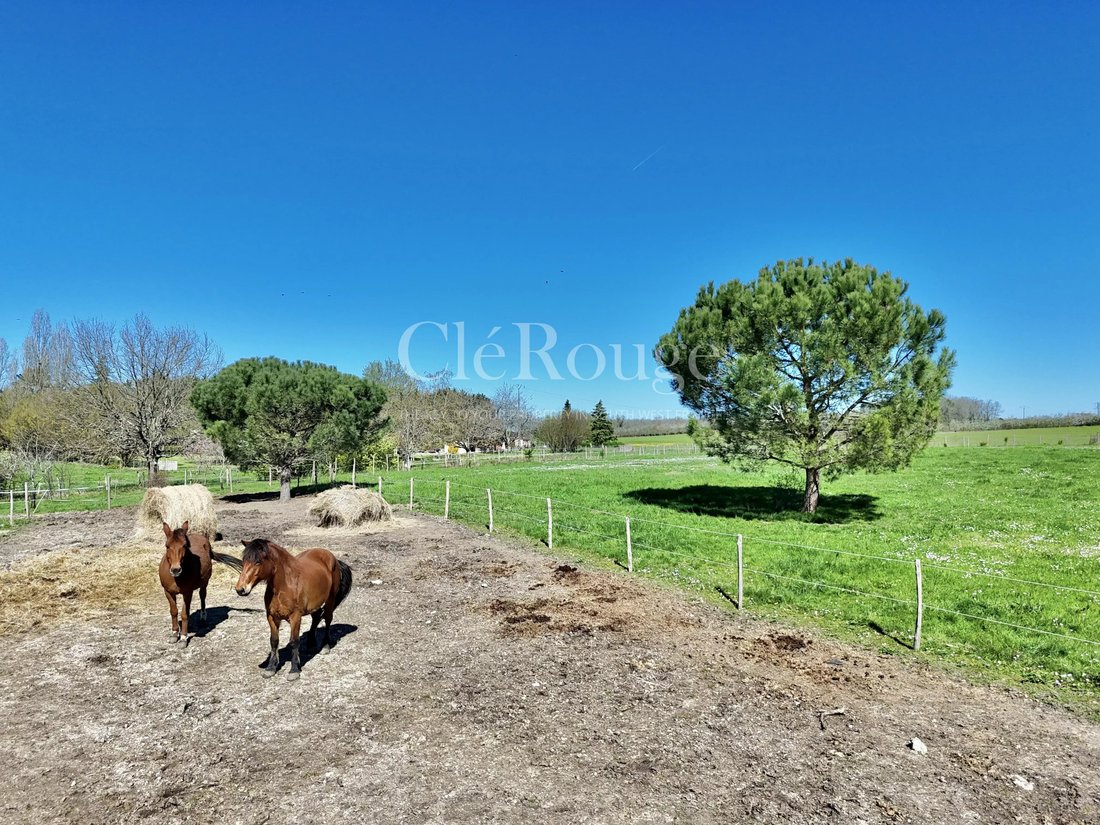 House in Duras, Nouvelle-Aquitaine, France 5 - 18207982