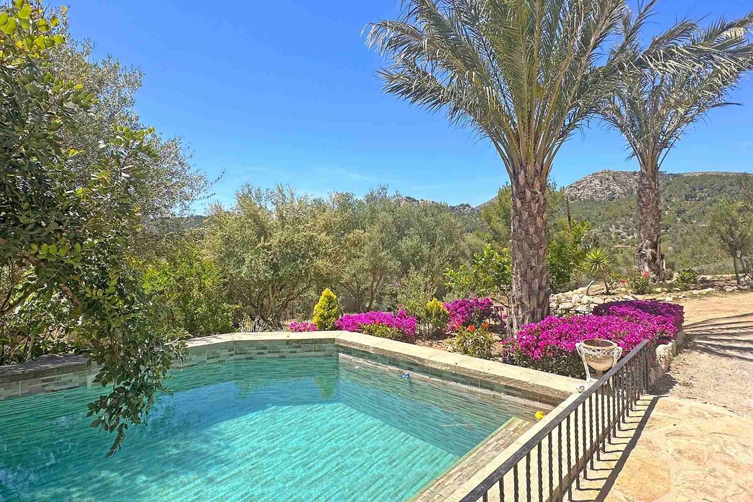 Finca in s'Arraco, Andratx, Balearic Islands 2 - 18207539
