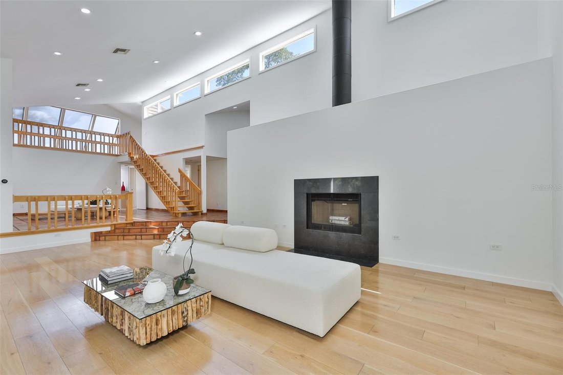 House in Palm Harbor, Florida, United States 3 - 18207681