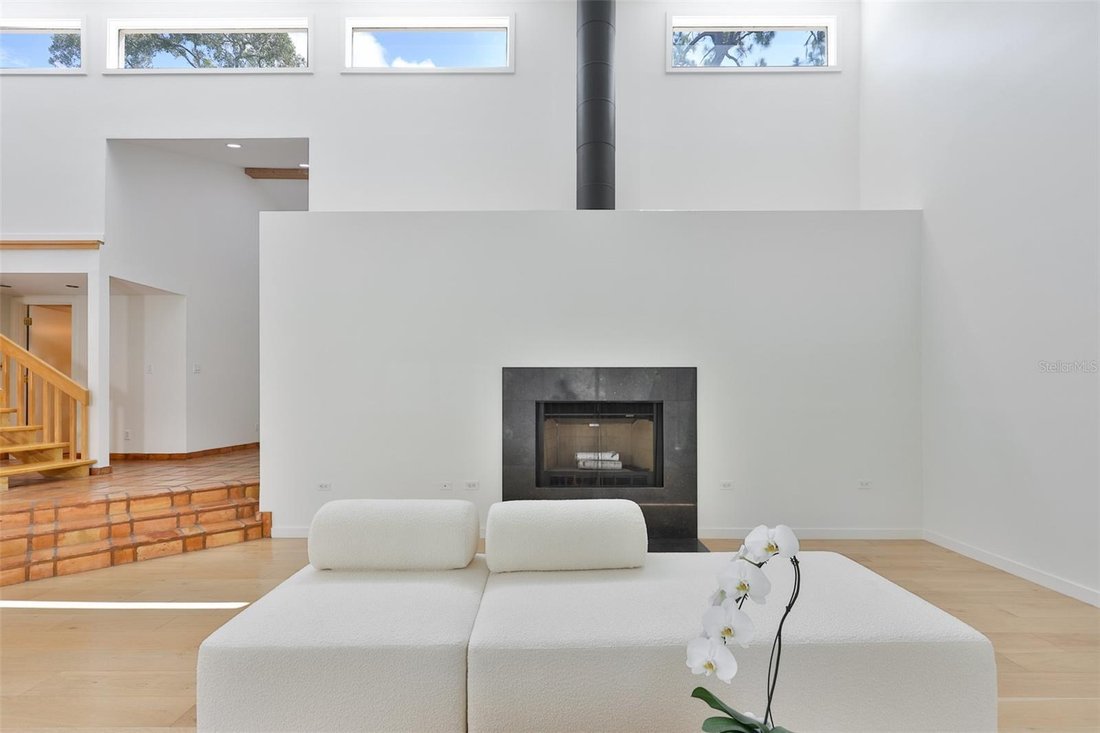 House in Palm Harbor, Florida, United States 5 - 18207681