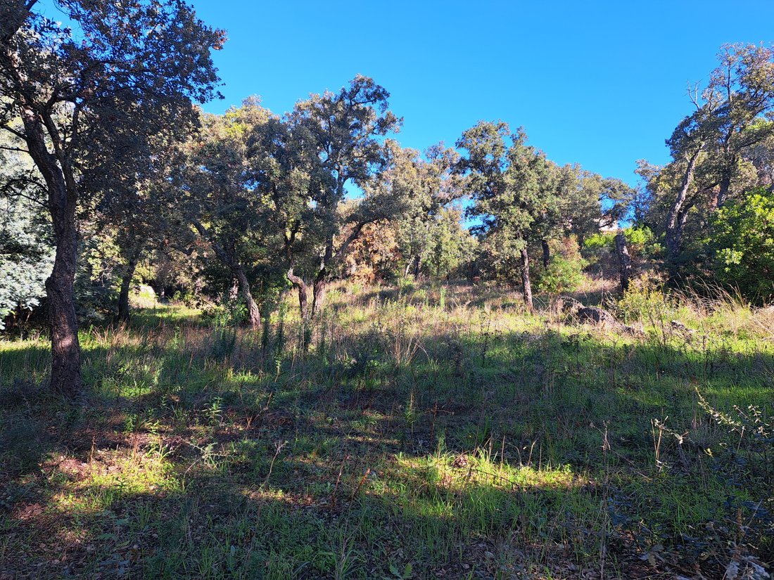Land in Le Dramont-Agay-Anthéor-Le Trayas, Saint-Raphaël, France 5 - 18209764