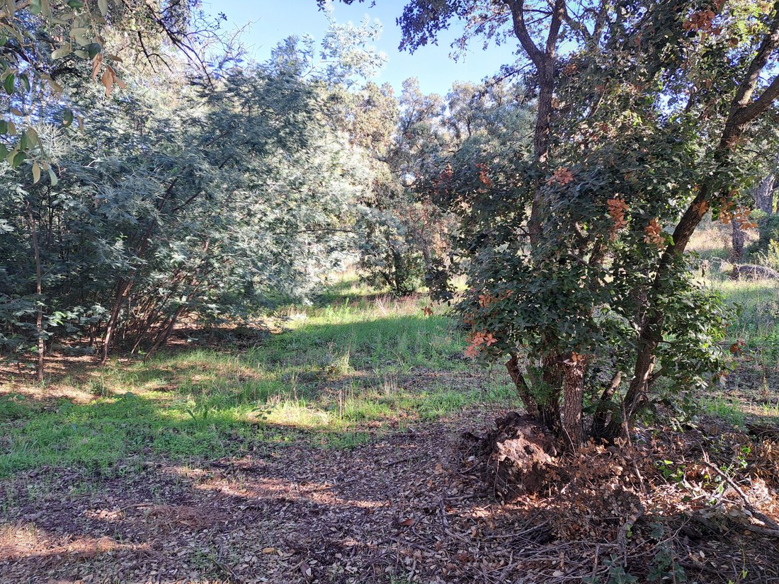 Land in Le Dramont-Agay-Anthéor-Le Trayas, Saint-Raphaël, France 2 - 18209764