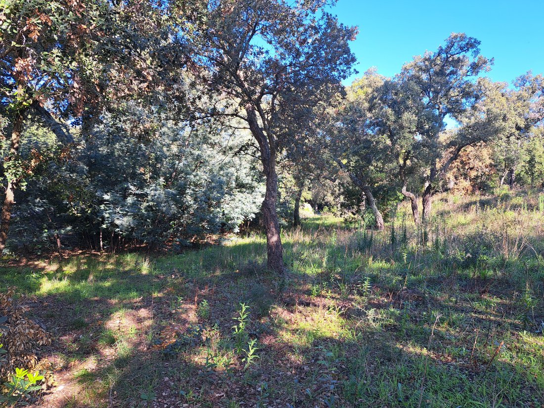 Land in Le Dramont-Agay-Anthéor-Le Trayas, Saint-Raphaël, France 4 - 18209764