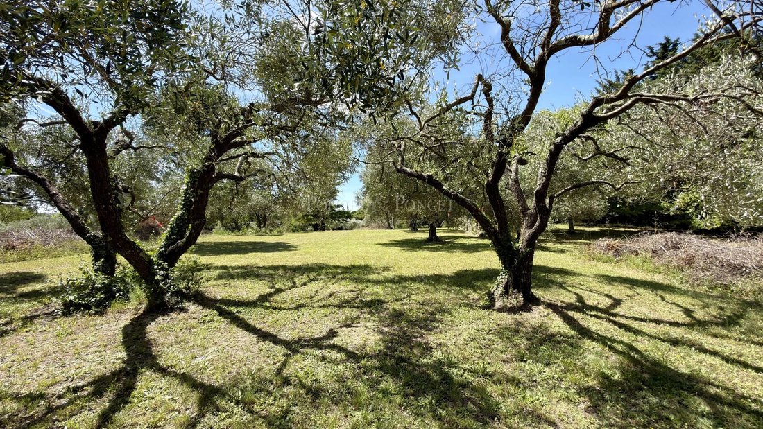 Villa in Uzès, Occitania, France 2 - 17691142