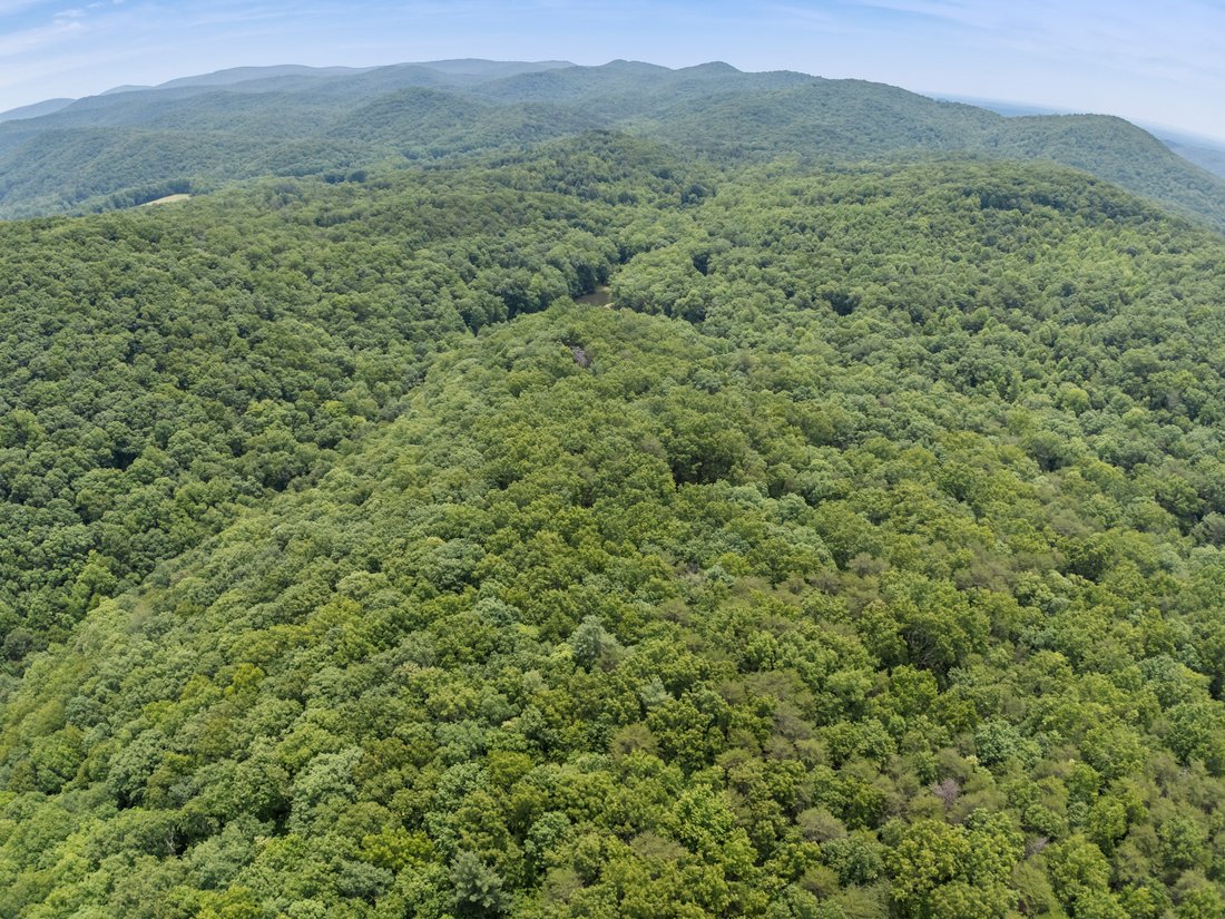 Land in Ellijay, Georgia, United States 3 - 18209850