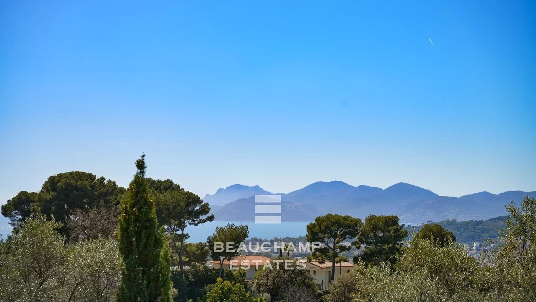Villa in Sainte Catherine, Le Cannet, France 3 - 14135277