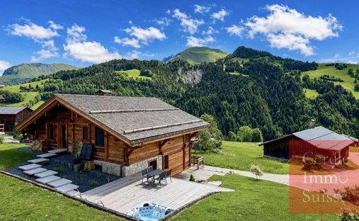 Chalet in Le Grand-Bornand, Auvergne-Rhône-Alpes, France 1
