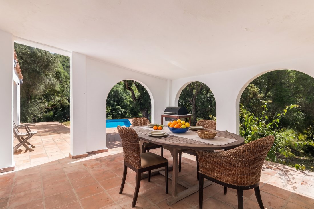 Finca in Casares, Andalusia, Spain 3 - 18209684