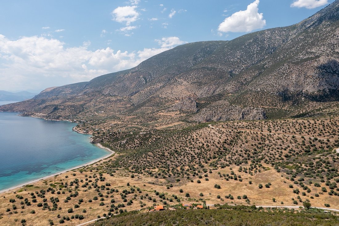 Land in Levadeia Community, Levadia, Greece 3 - 18210127