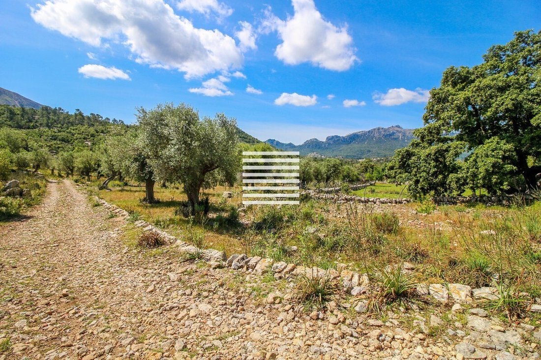 Tenuta a Escorca, Isole Baleari, Spagna 3 - 18210089