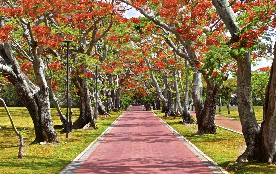 Villa in Pamplemousses District, Mauritius 5 - 18209922
