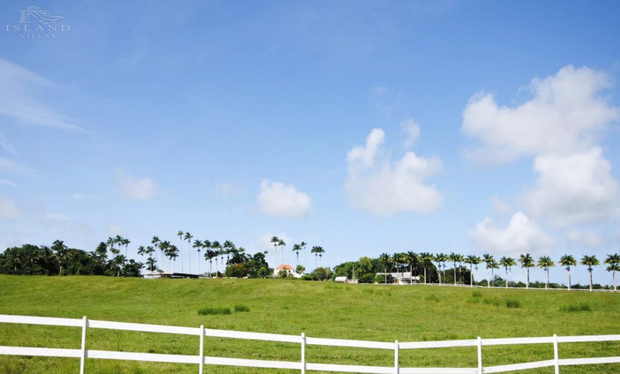 Country House in Lion Castle, Saint Thomas, Barbados 4 - 18209930