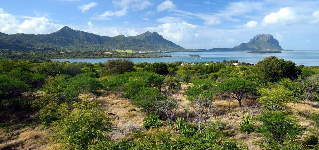 Villa in Black River, Rivière Noire District, Mauritius 3 - 18209950