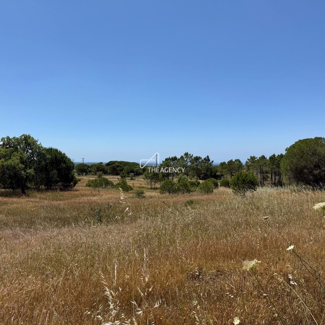 Land in Melides, Setubal, Portugal 4 - 18210362