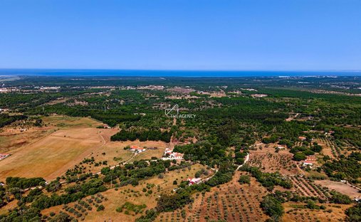 Land in Melides, Setubal, Portugal 1
