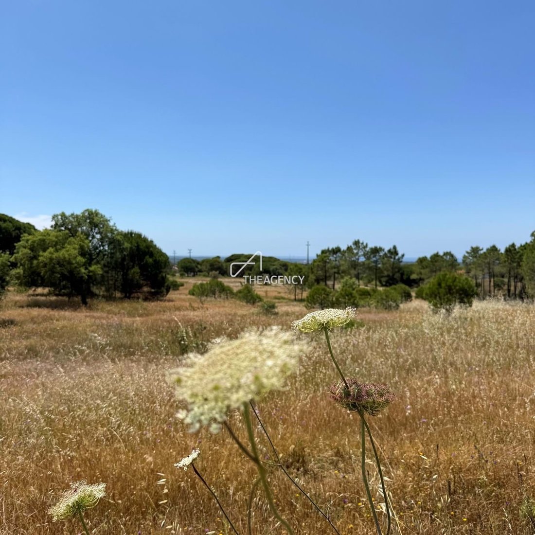 Land in Melides, Setubal, Portugal 3 - 18210362