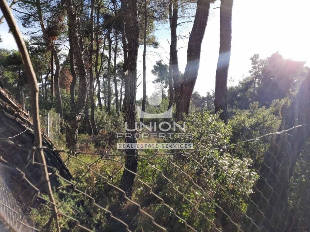 Land in Dionysos, Attica, Greece 4 - 18210023