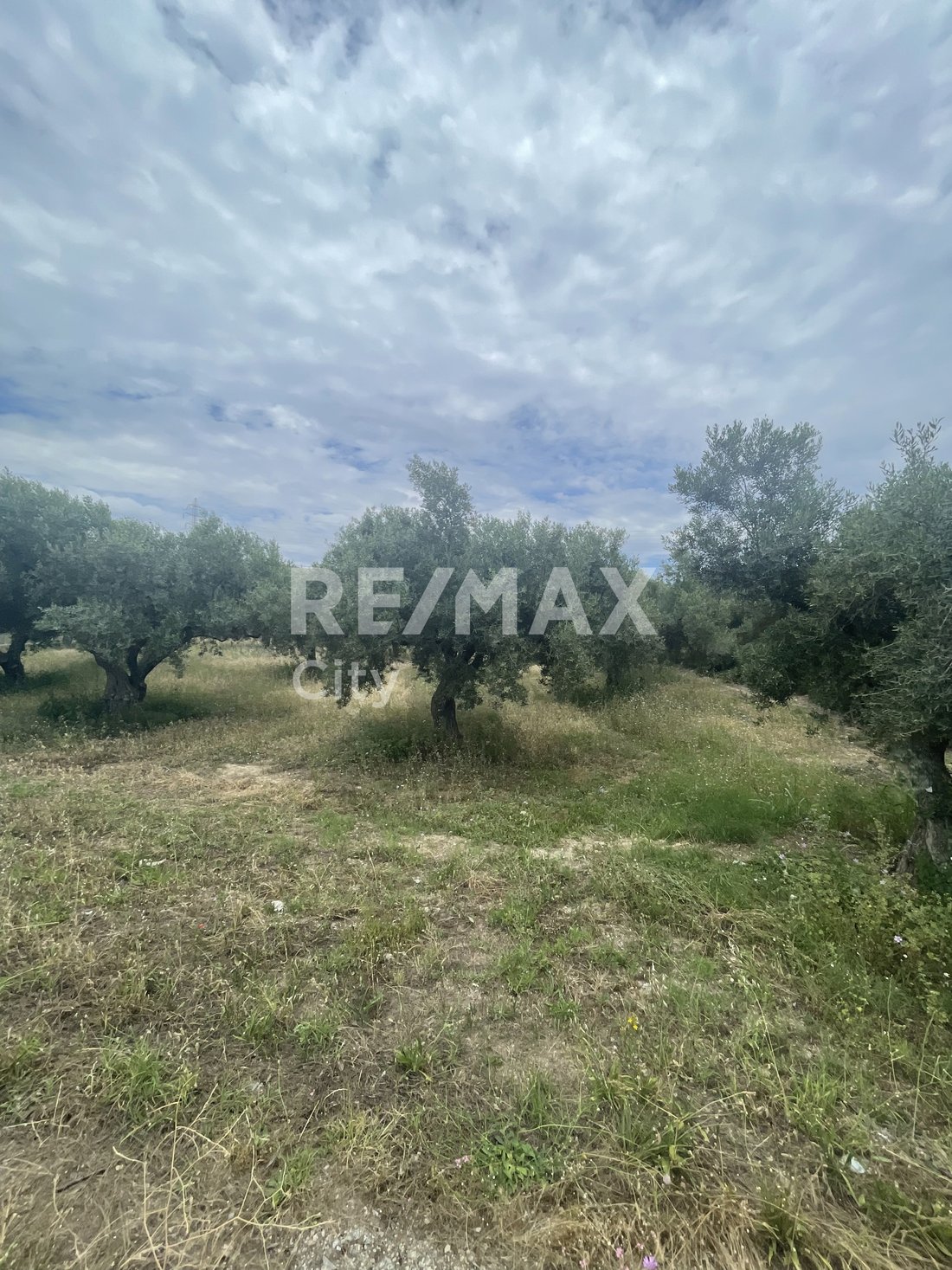 Land in Alexandroupoli, Macedonia and Thrace, Greece 5 - 18211491