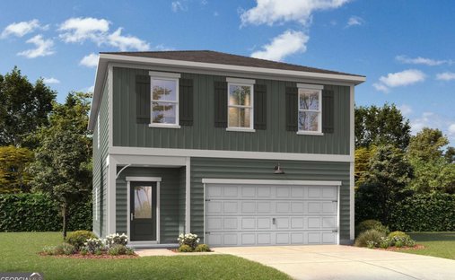 House in Canton, Georgia, United States 1