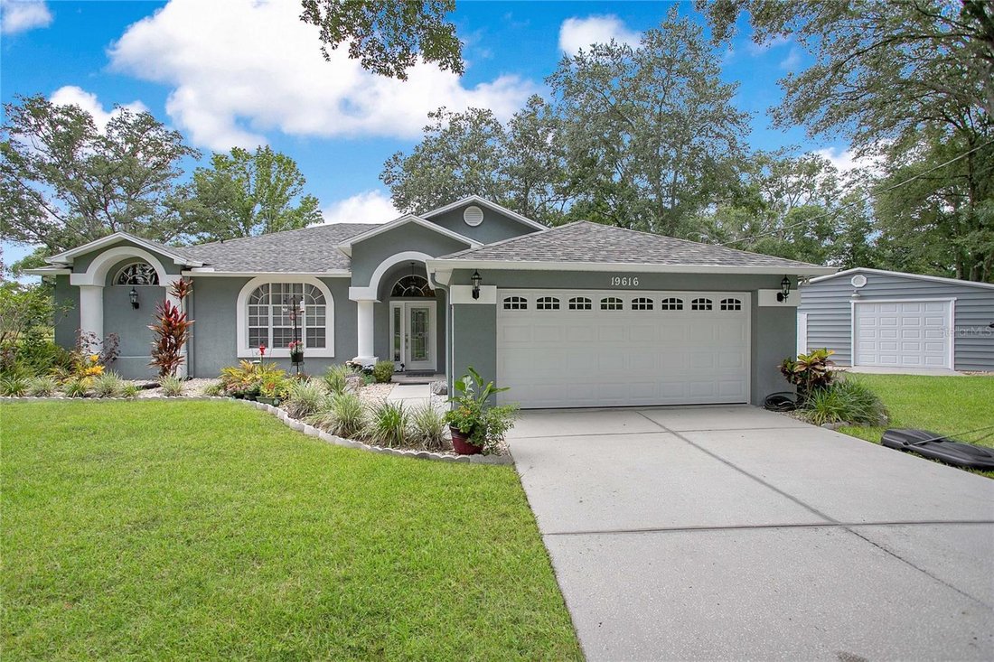 House in Lutz, Florida, United States 1 - 18211218