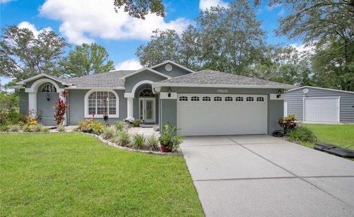 House in Lutz, Florida, United States 1