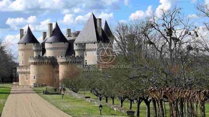Castle in Saint-Gaultier, Centre-Val de Loire, France 1 - 18213273