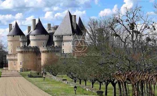 Castle in Saint-Gaultier, Centre-Val de Loire, France 1