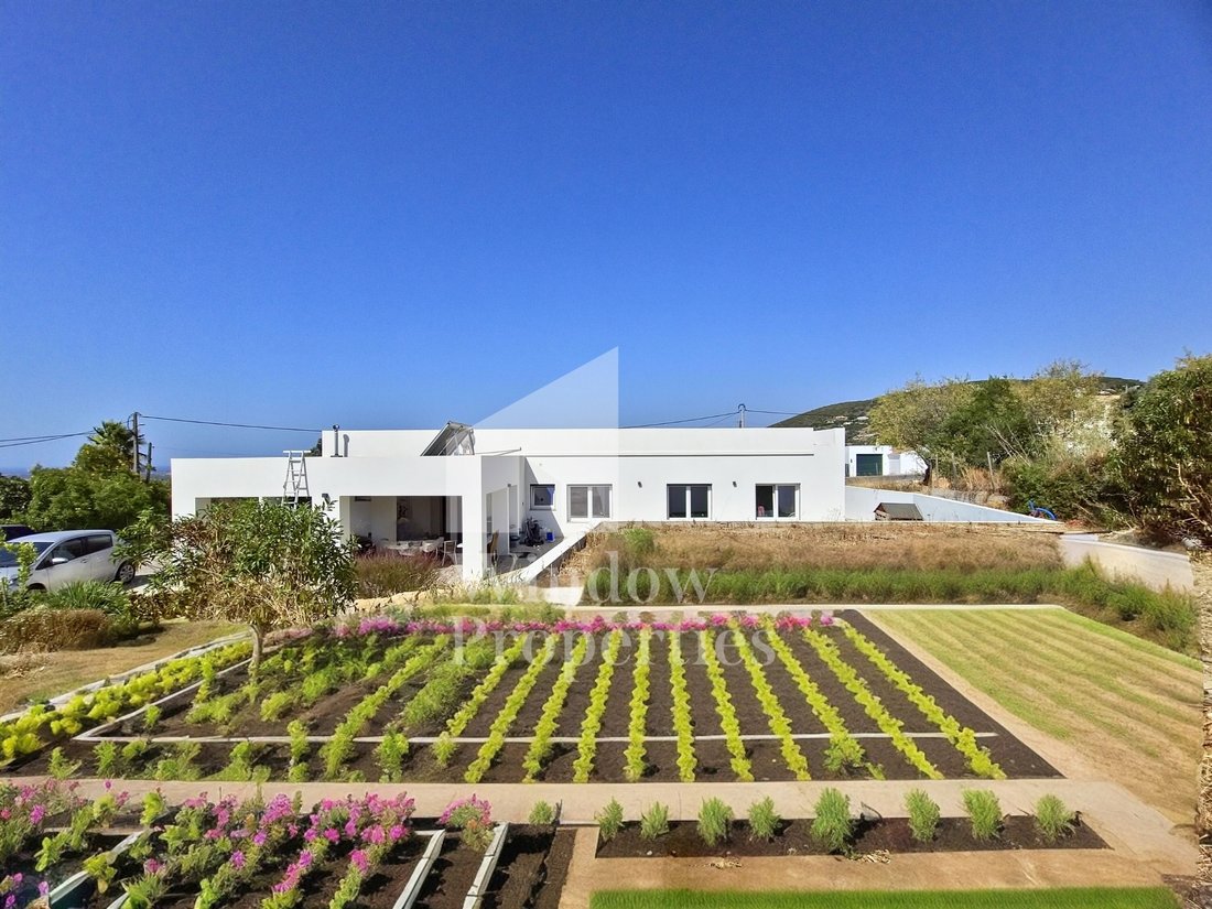 House in Santa Barbara de Nexe, Algarve, Portugal 3 - 18213729