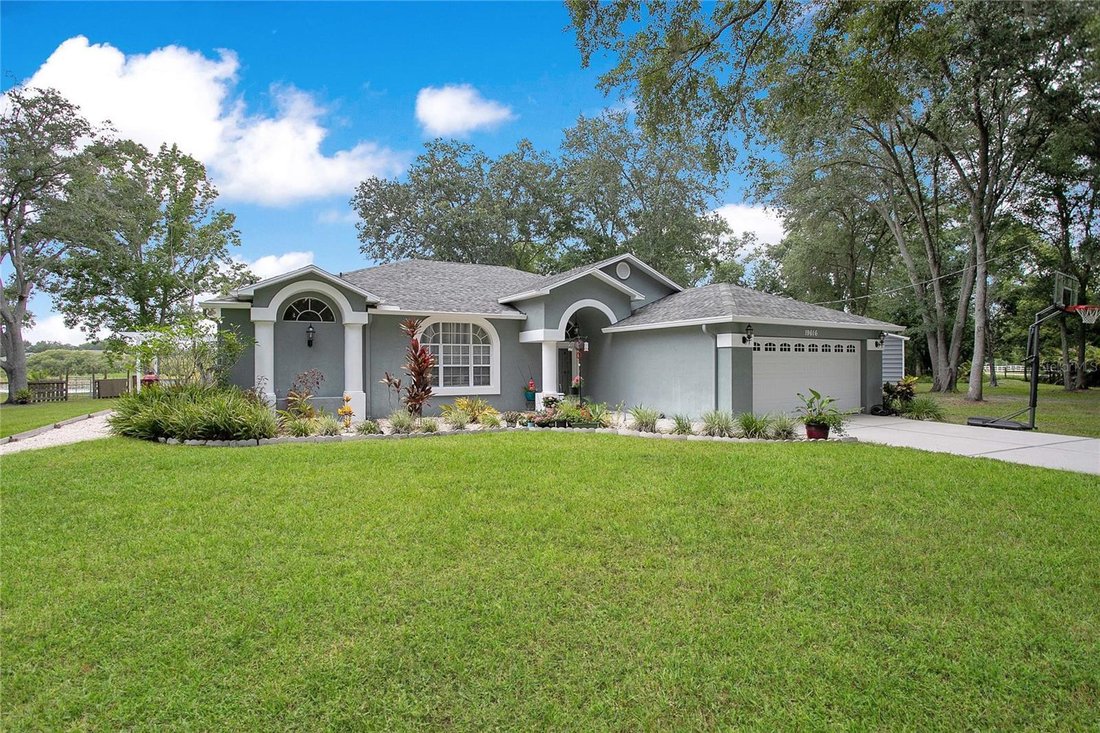 House in Lutz, Florida, United States 5 - 18211218