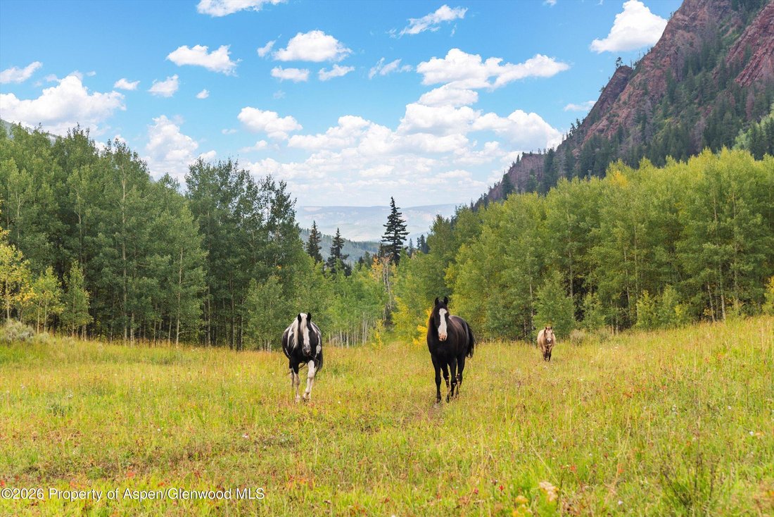 House in Aspen, Colorado, United States 4 - 18213135