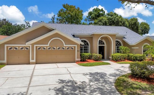 House in Tampa, Florida, United States 1
