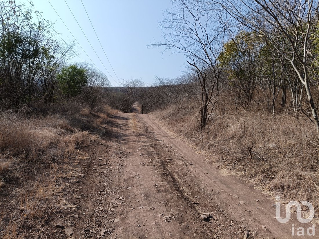Land in La Mina, Colima, Mexico 1 - 18212669