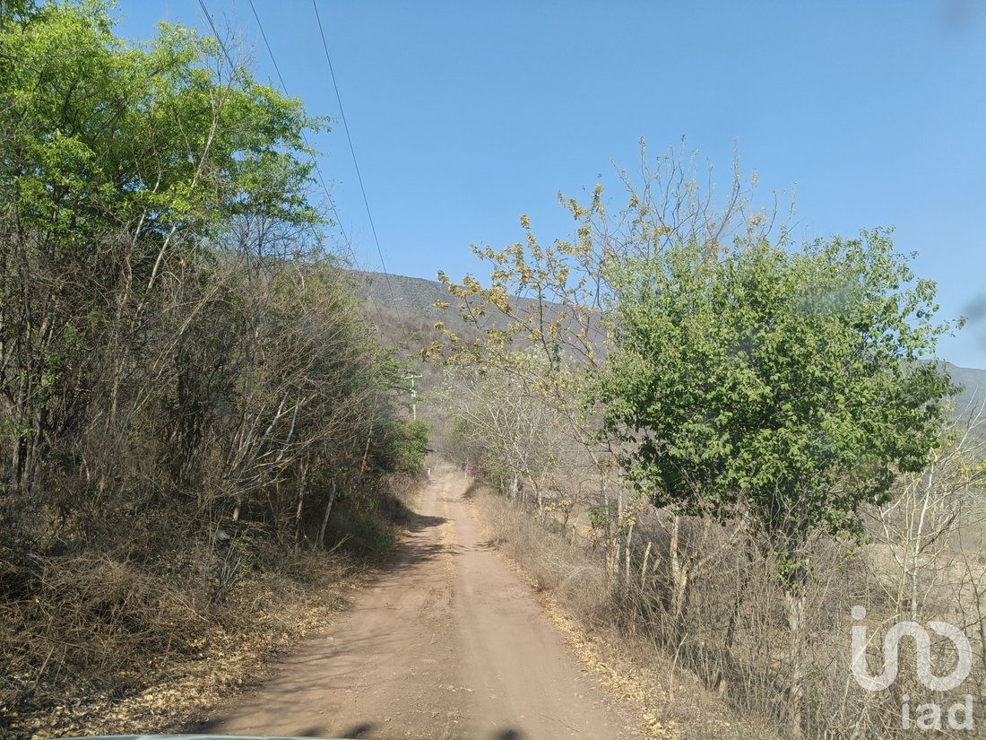 Land in La Mina, Colima, Mexico 4 - 18212669