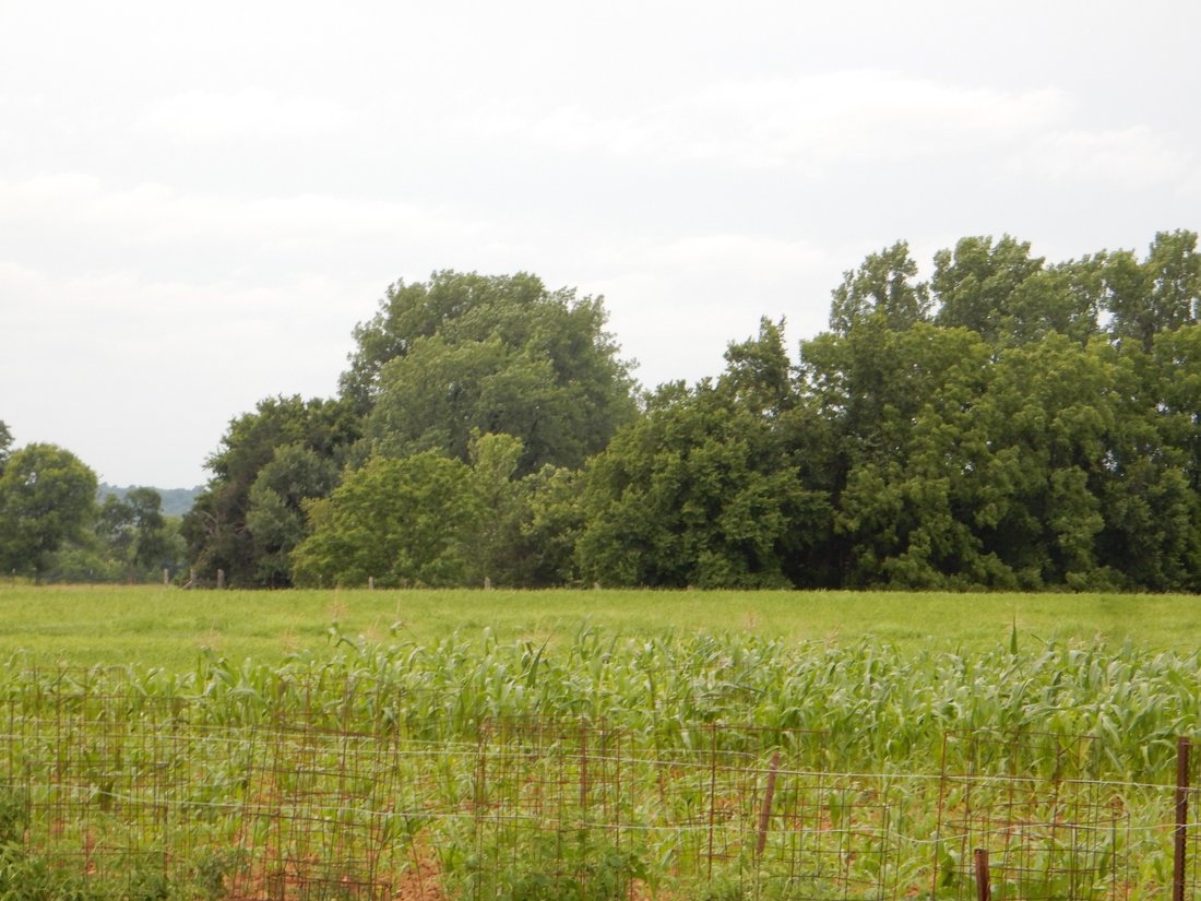Land in Shepherdsville, Kentucky, United States 4 - 18210910