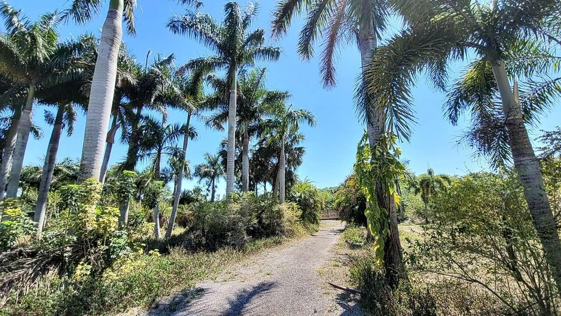 House in The Acreage, Florida, United States 2 - 18211737