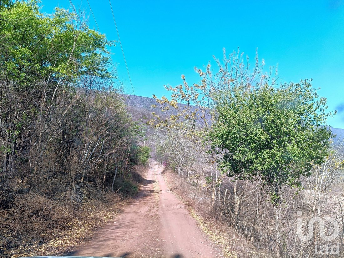 Land in La Mina, Colima, Mexico 4 - 18212658