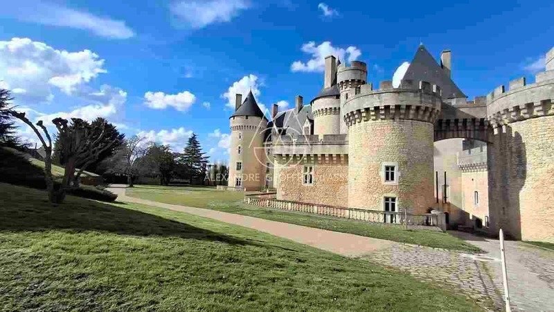 Castle in Saint-Gaultier, Centre-Val de Loire, France 2 - 18213273