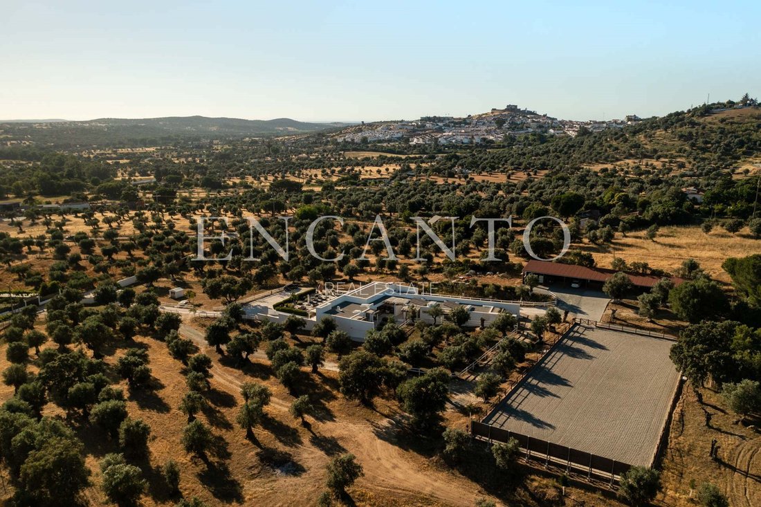 Finca in Arraiolos, Évora District, Portugal 3 - 18213203
