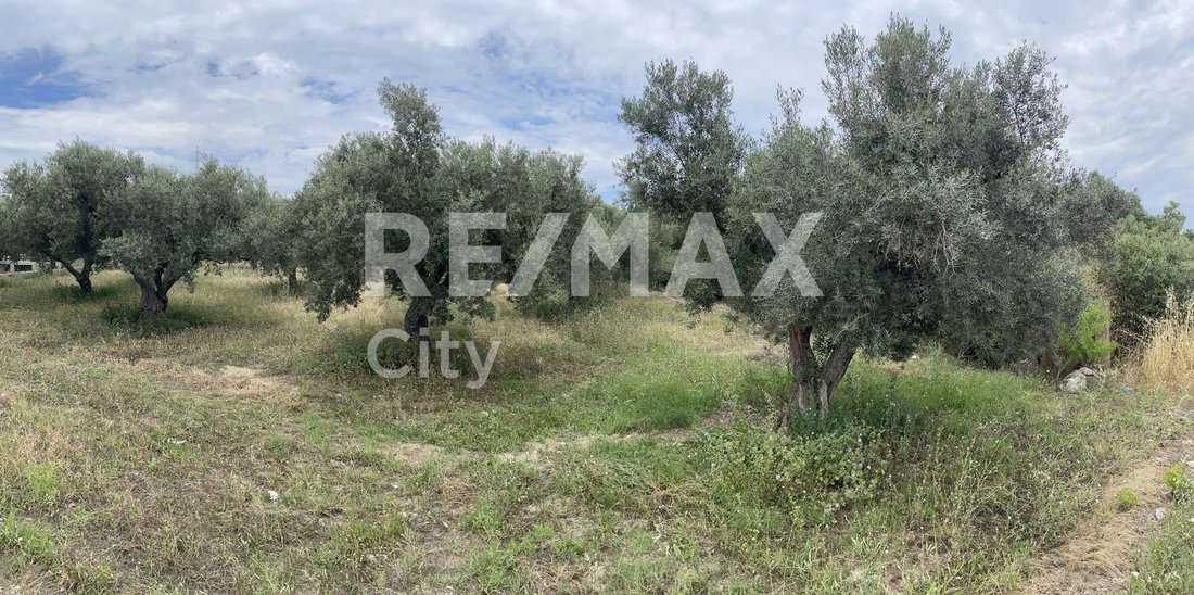 Land in Alexandroupoli, Macedonia and Thrace, Greece 4 - 18211491