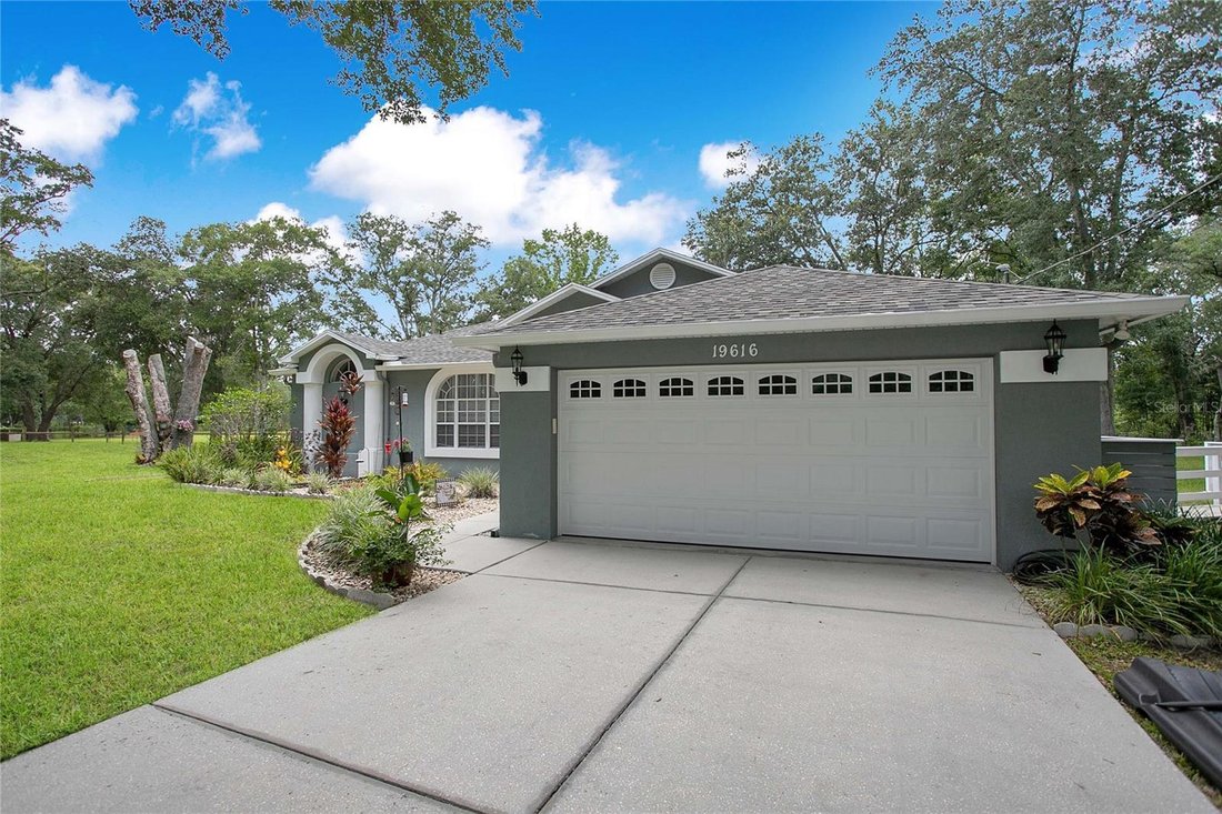 House in Lutz, Florida, United States 4 - 18211218