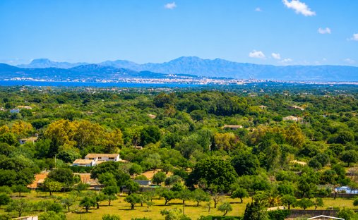 Terreno en Pollensa, Islas Baleares, España 1