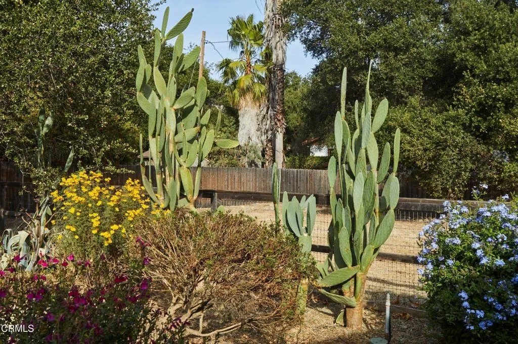 House in Ojai, California, United States 5 - 18211727