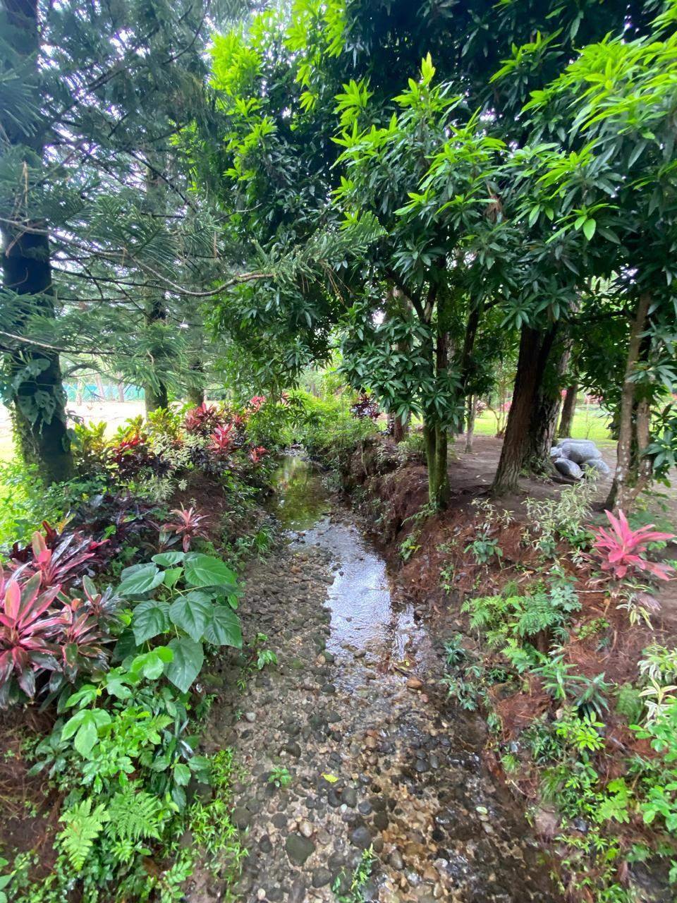 House in Anton Valley, Coclé Province, Panama 3 - 18211624